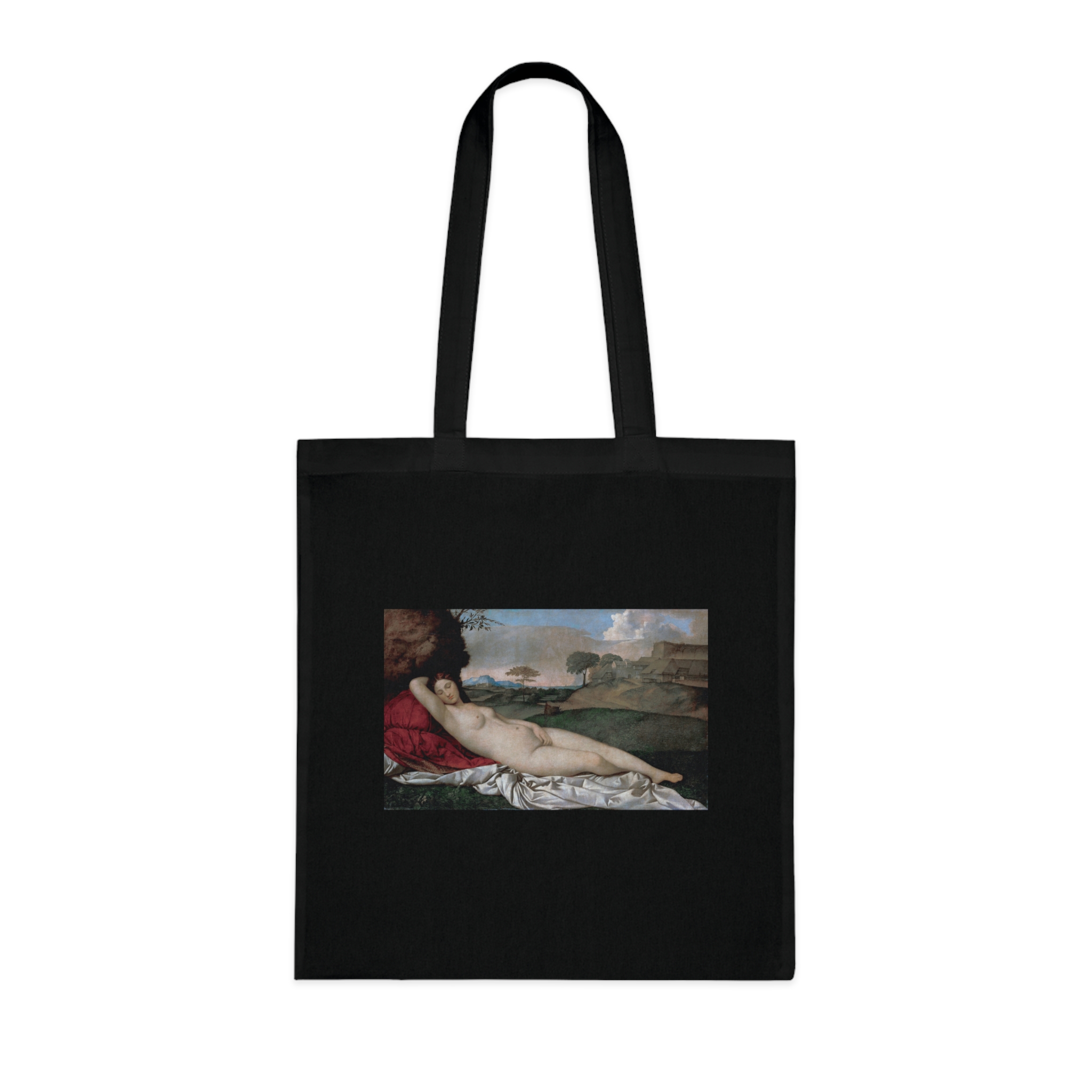 12968594784814330548_2048.jpeg Giorgione - Sleeping Venus - Image 9