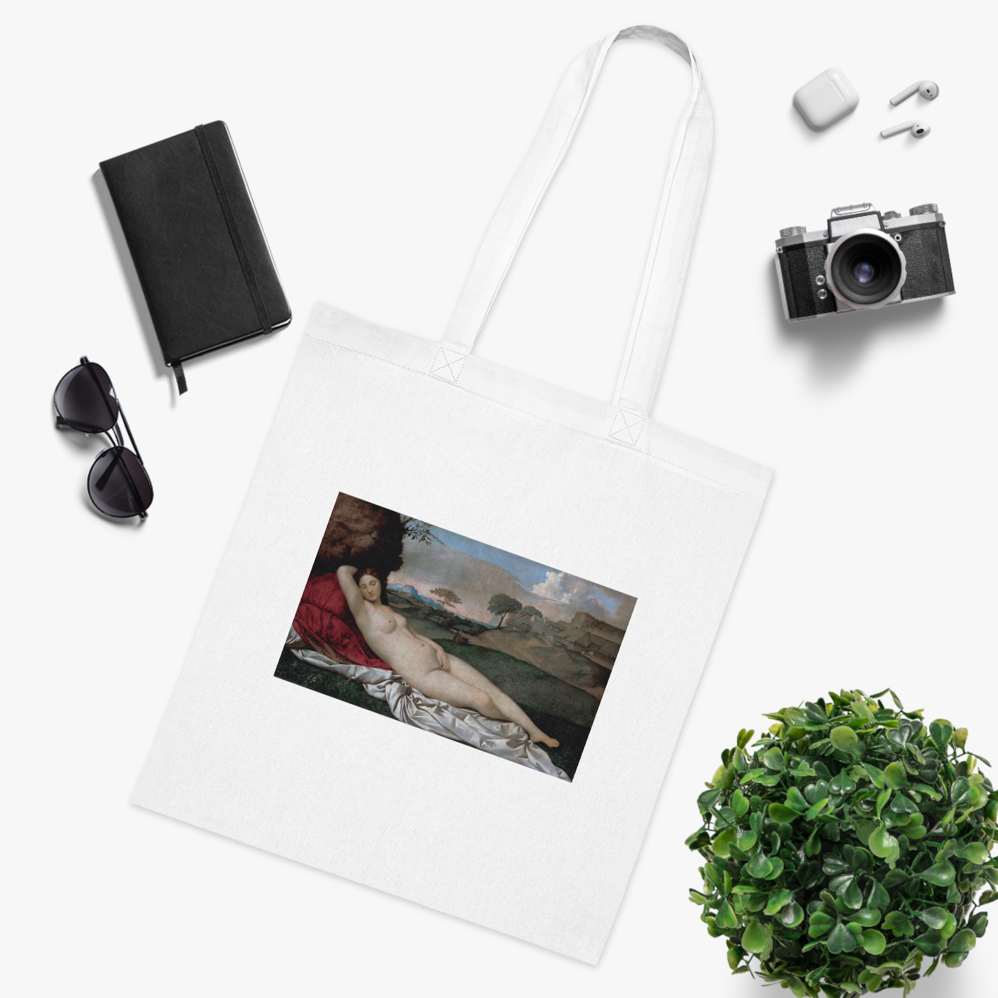 16660046164365375080_2048.jpeg Giorgione - Sleeping Venus - Image 3