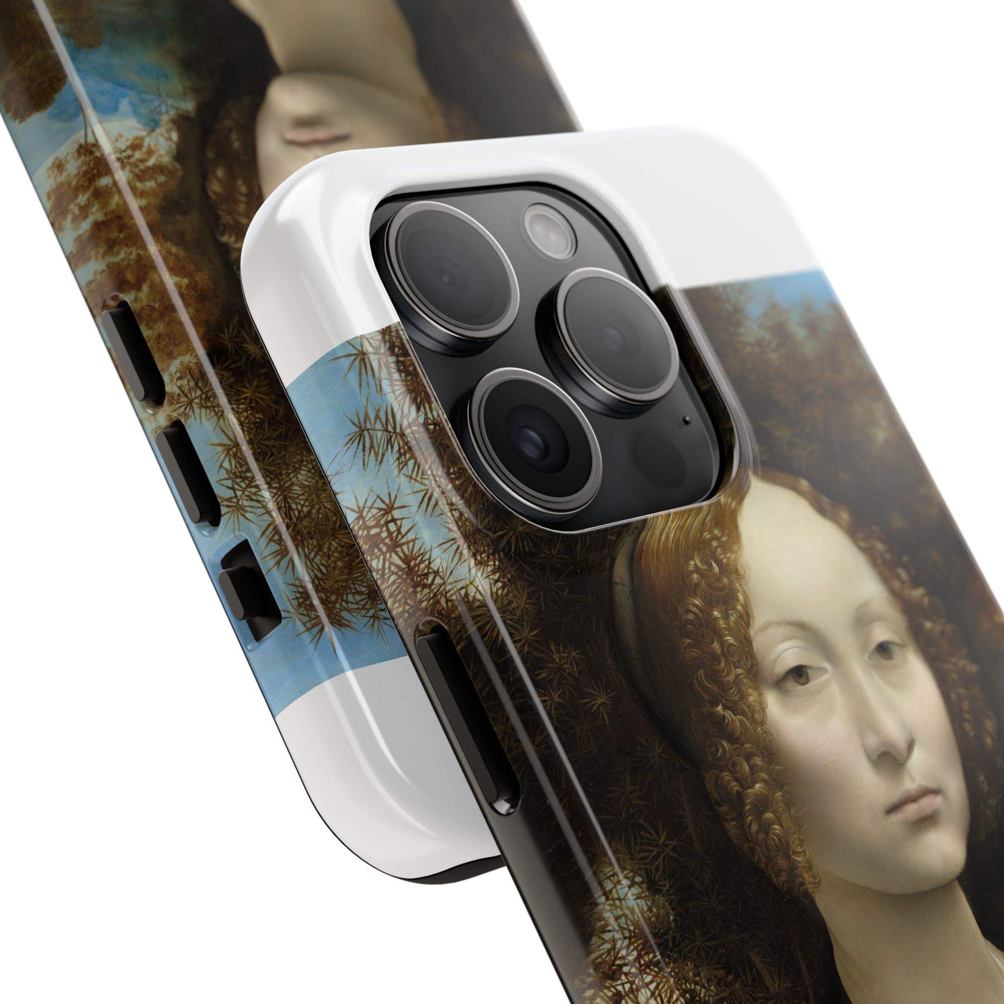 leonardo da vinci %281452%e2%80%931519%29 ginevra de%e2%80%99 benci 1478 leonardo da vinci %281452%e2%80%931519%29 ginevra de%e2%80%99 benci 1478