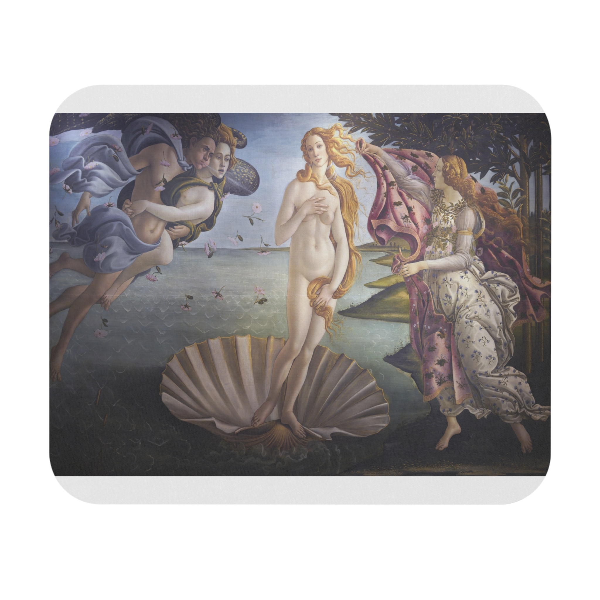sandro botticelli the birth of venus