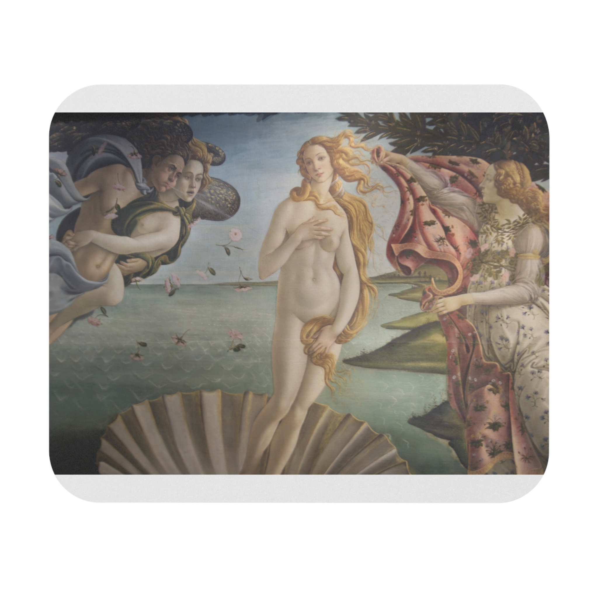 sandro botticelli nascita di venere