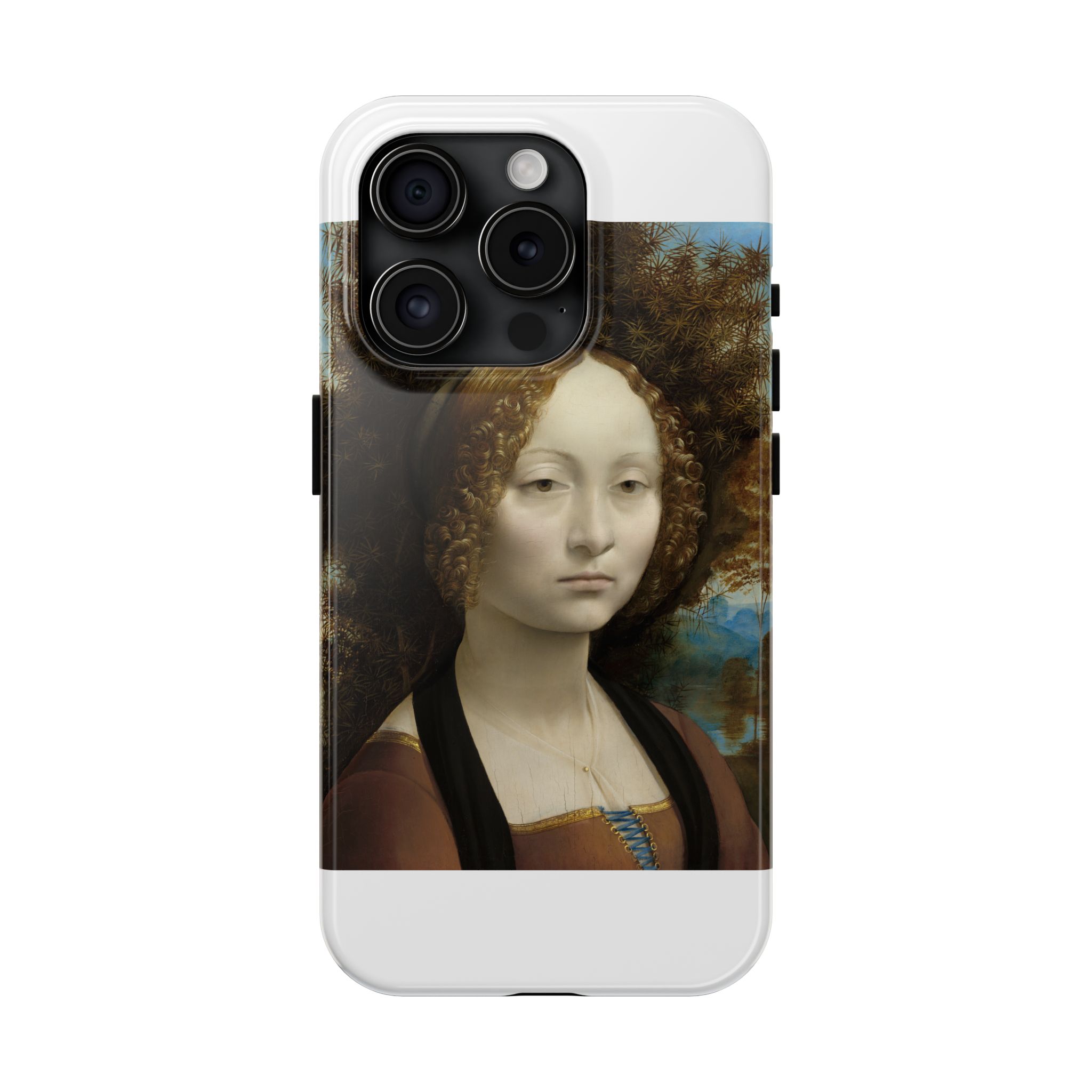 leonardo da vinci %281452%e2%80%931519%29 ginevra de%e2%80%99 benci 1478 leonardo da vinci %281452%e2%80%931519%29 ginevra de%e2%80%99 benci 1478