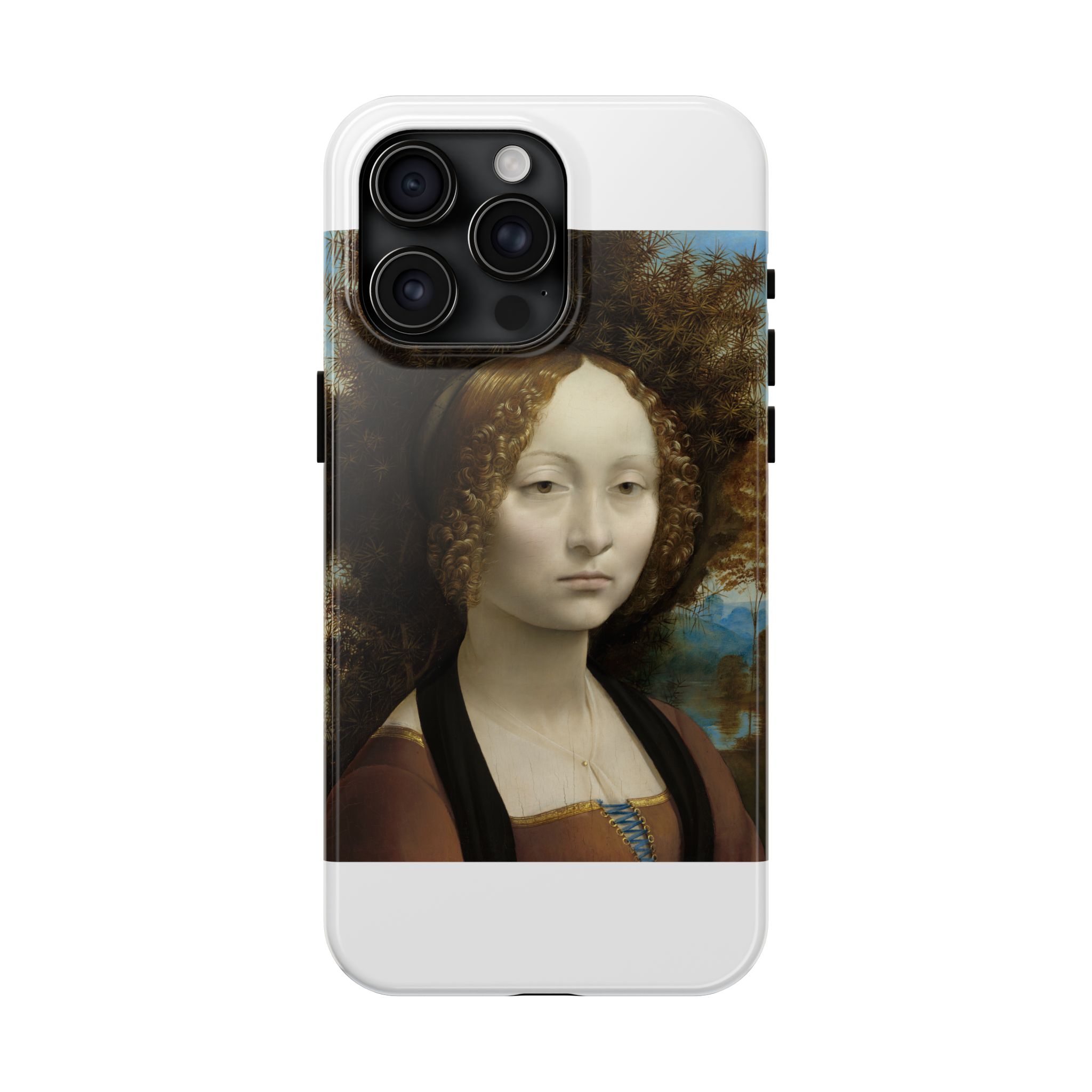 leonardo da vinci %281452%e2%80%931519%29 ginevra de%e2%80%99 benci 1478 leonardo da vinci %281452%e2%80%931519%29 ginevra de%e2%80%99 benci 1478