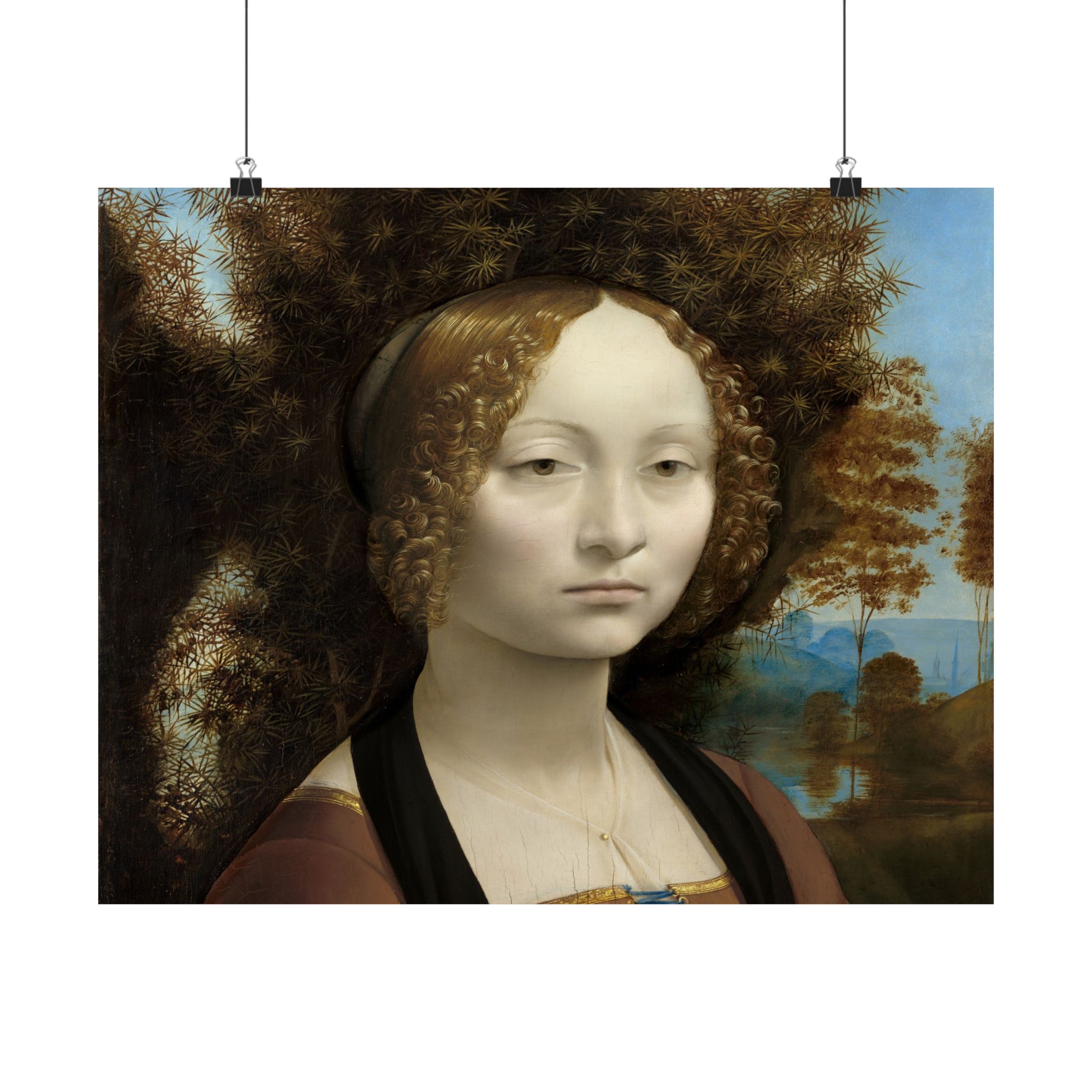 leonardo da vinci %281452%e2%80%931519%29 ginevra de%e2%80%99 benci 1478 leonardo da vinci %281452%e2%80%931519%29 ginevra de%e2%80%99 benci 1478