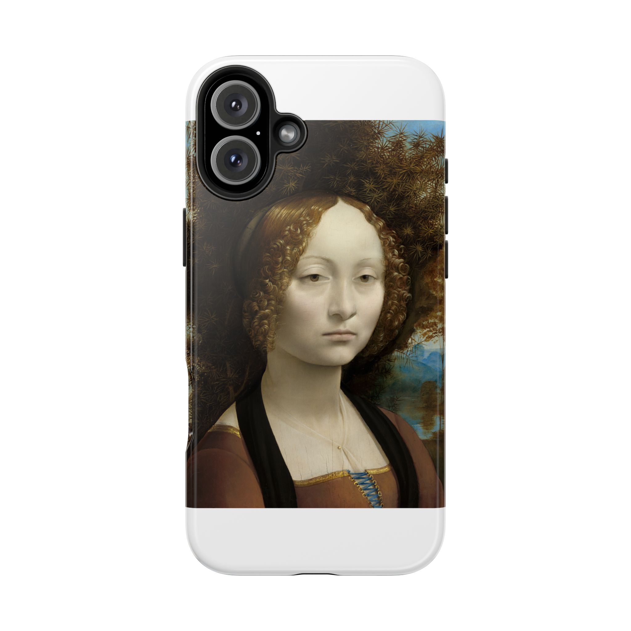 leonardo da vinci %281452%e2%80%931519%29 ginevra de%e2%80%99 benci 1478 leonardo da vinci %281452%e2%80%931519%29 ginevra de%e2%80%99 benci 1478