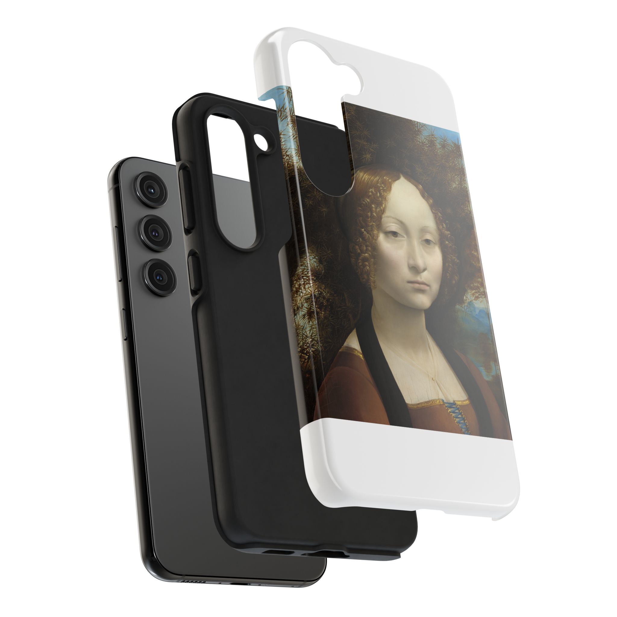 leonardo da vinci %281452%e2%80%931519%29 ginevra de%e2%80%99 benci 1478 leonardo da vinci %281452%e2%80%931519%29 ginevra de%e2%80%99 benci 1478