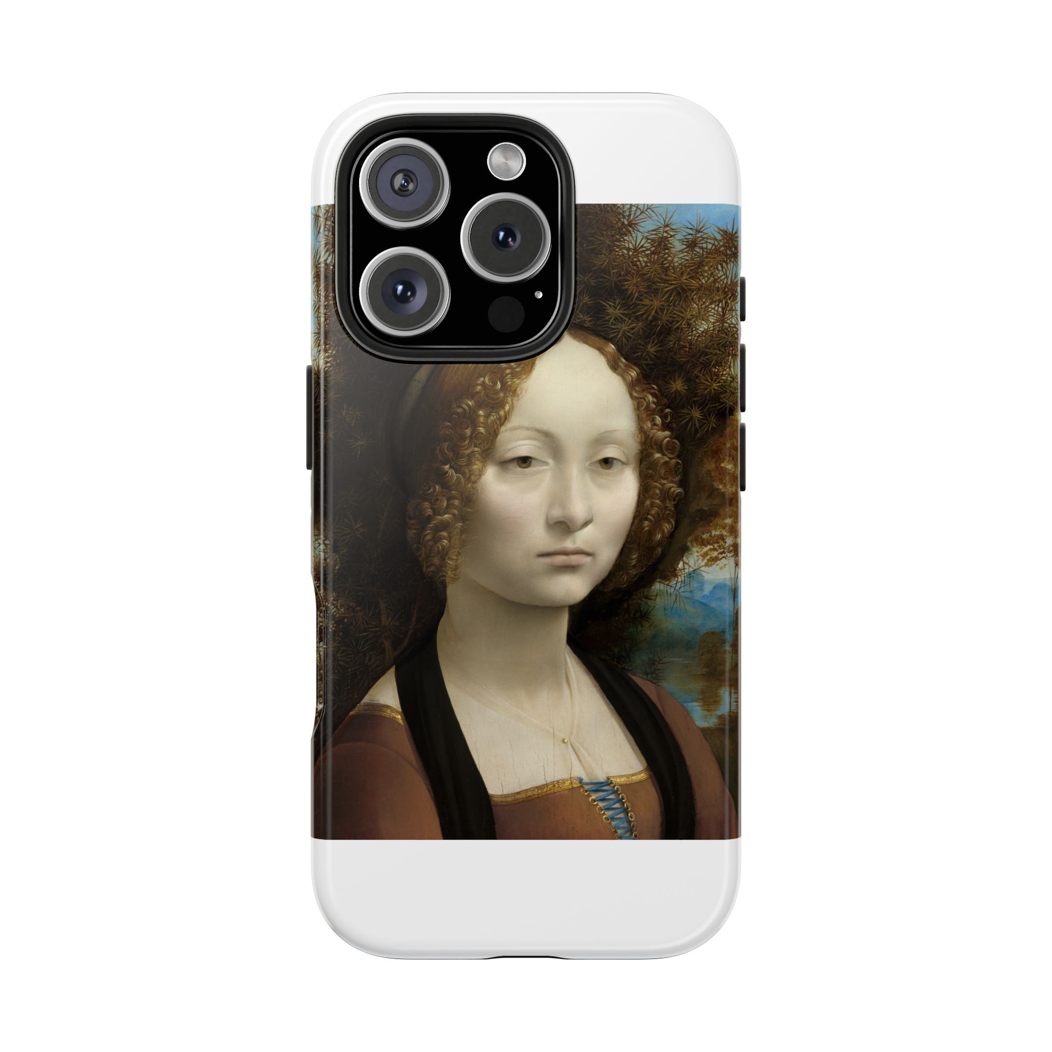 leonardo da vinci %281452%e2%80%931519%29 ginevra de%e2%80%99 benci 1478 leonardo da vinci %281452%e2%80%931519%29 ginevra de%e2%80%99 benci 1478