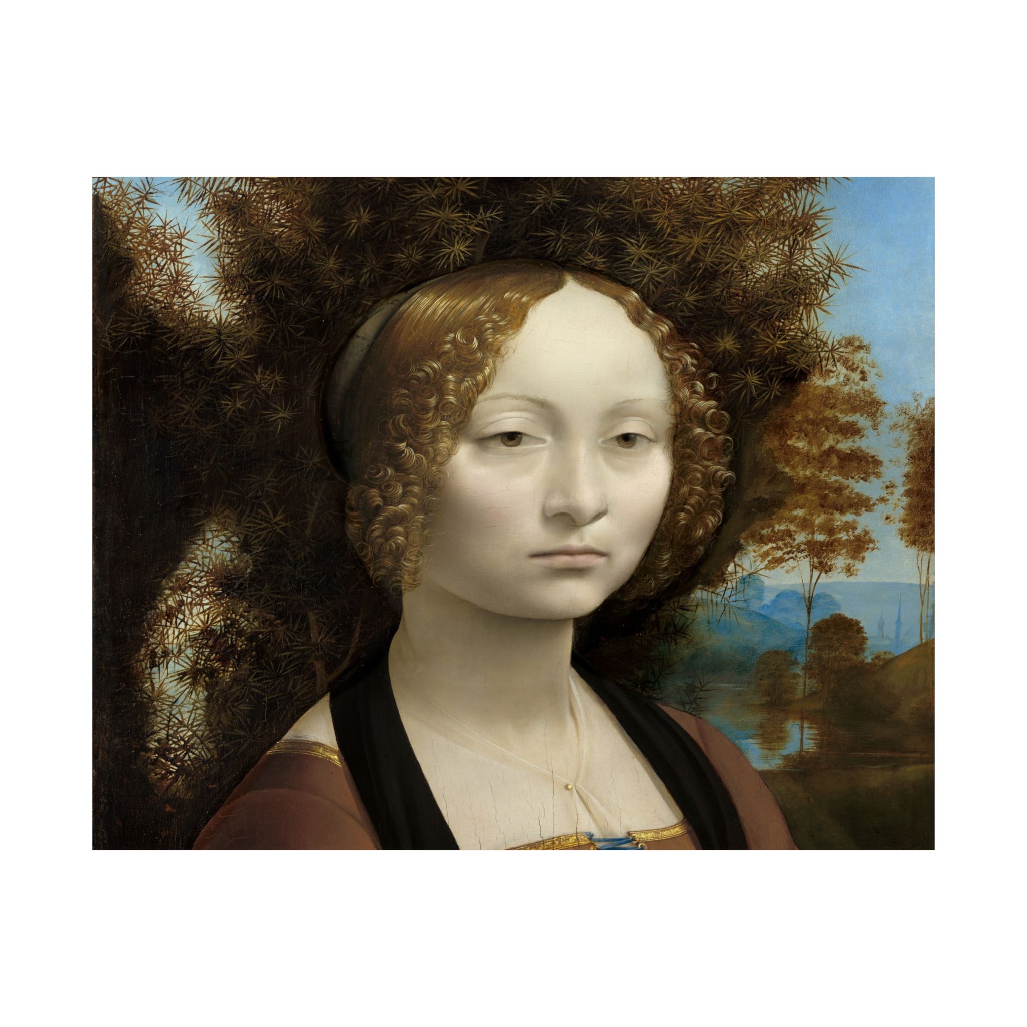 leonardo da vinci %281452%e2%80%931519%29 ginevra de%e2%80%99 benci 1478 leonardo da vinci %281452%e2%80%931519%29 ginevra de%e2%80%99 benci 1478