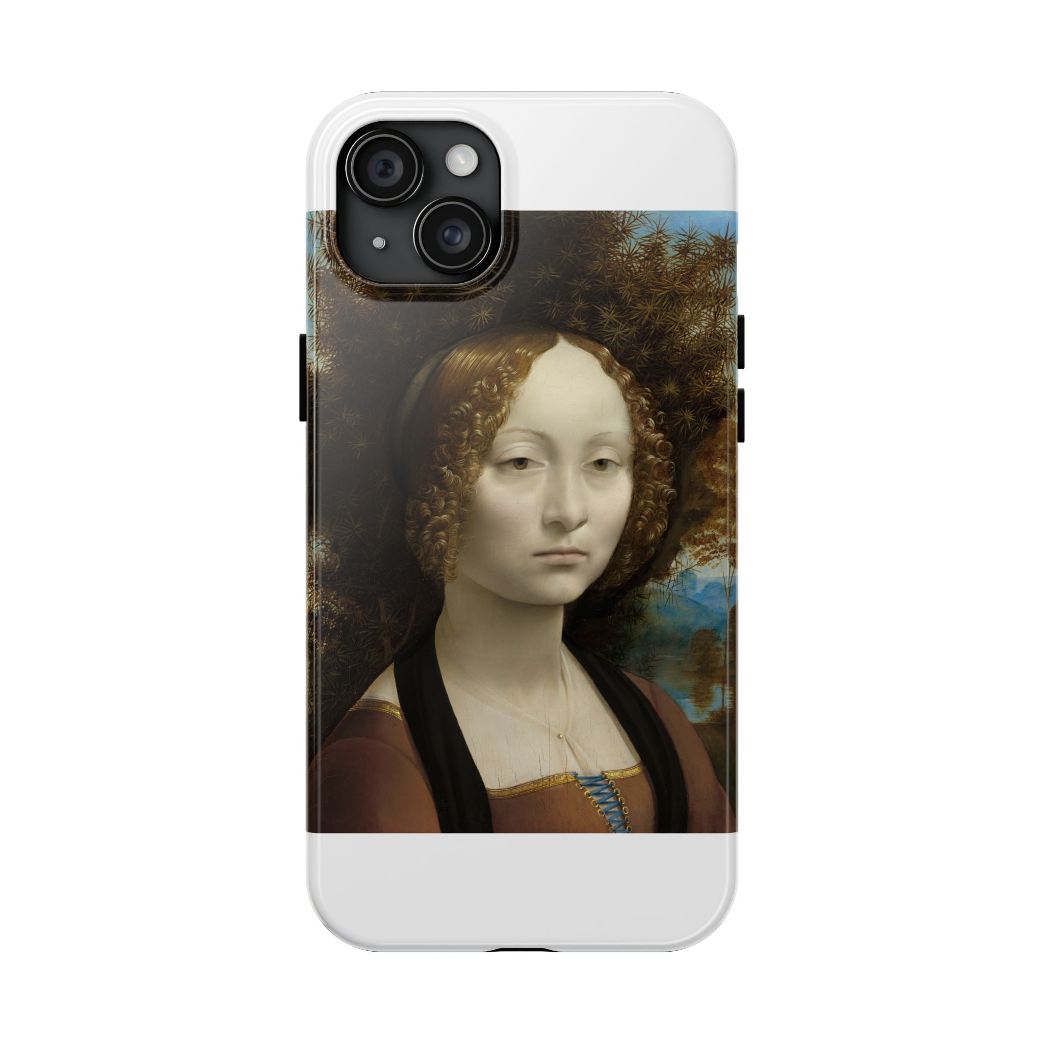 leonardo da vinci %281452%e2%80%931519%29 ginevra de%e2%80%99 benci 1478 leonardo da vinci %281452%e2%80%931519%29 ginevra de%e2%80%99 benci 1478
