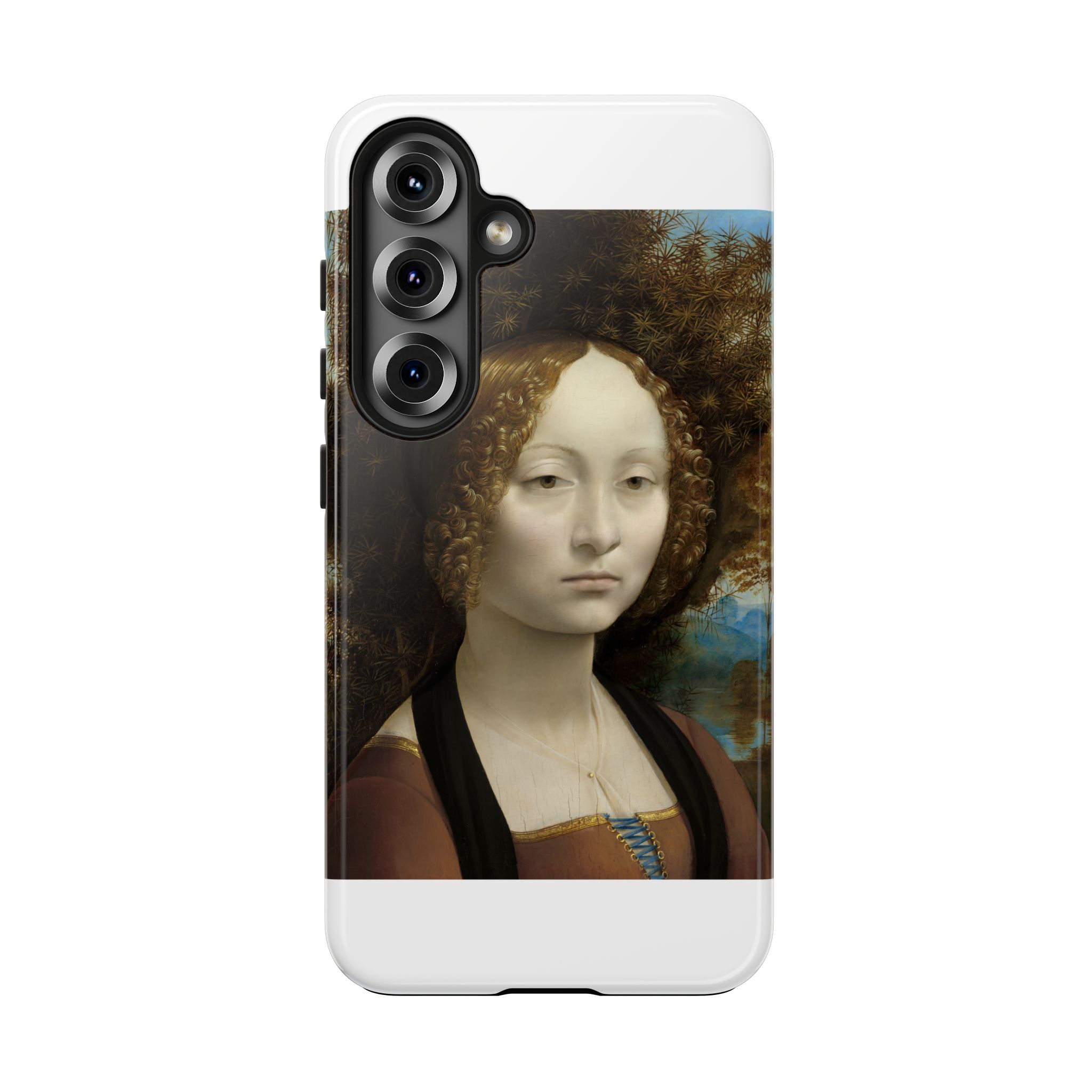 leonardo da vinci %281452%e2%80%931519%29 ginevra de%e2%80%99 benci 1478 leonardo da vinci %281452%e2%80%931519%29 ginevra de%e2%80%99 benci 1478