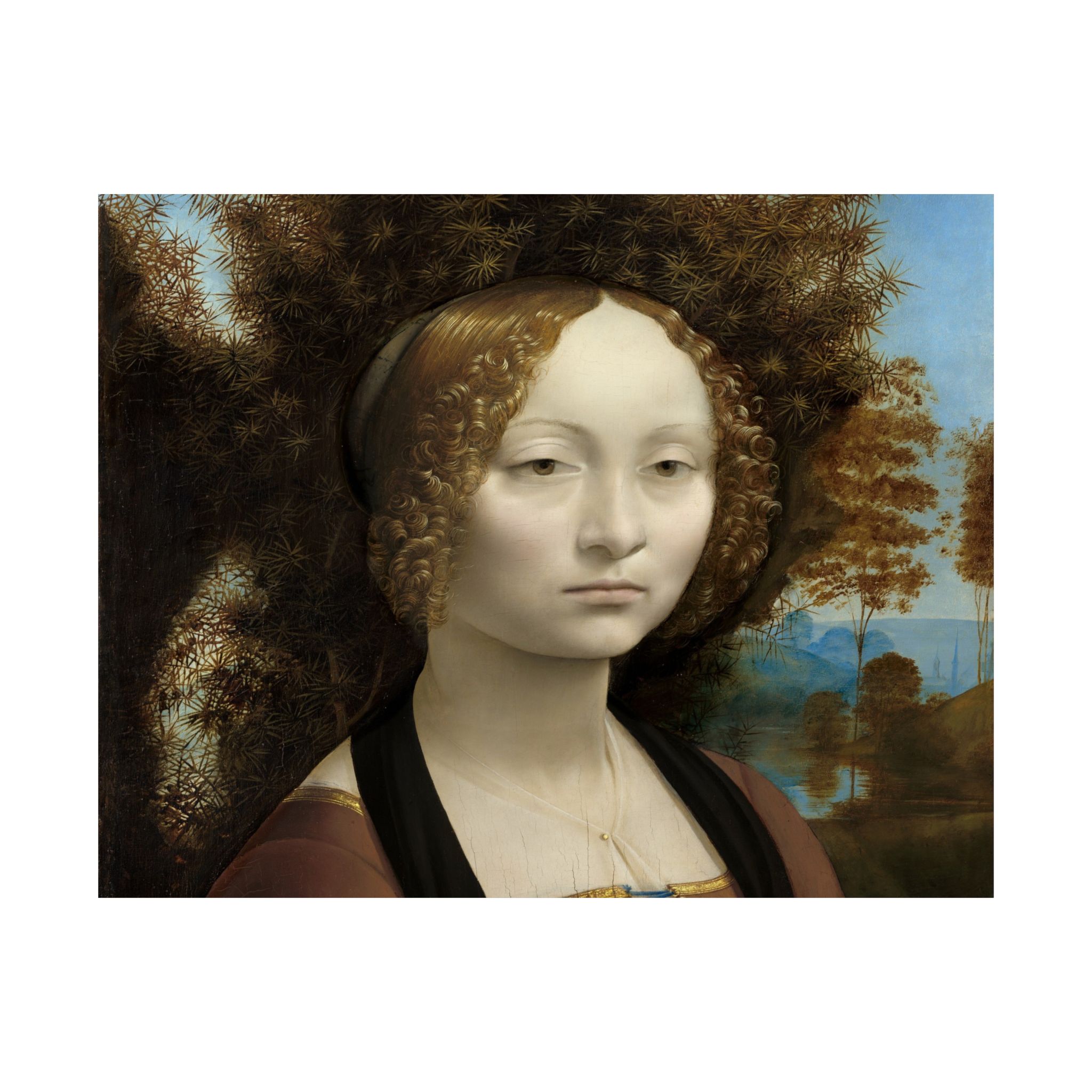 leonardo da vinci %281452%e2%80%931519%29 ginevra de%e2%80%99 benci 1478 leonardo da vinci %281452%e2%80%931519%29 ginevra de%e2%80%99 benci 1478