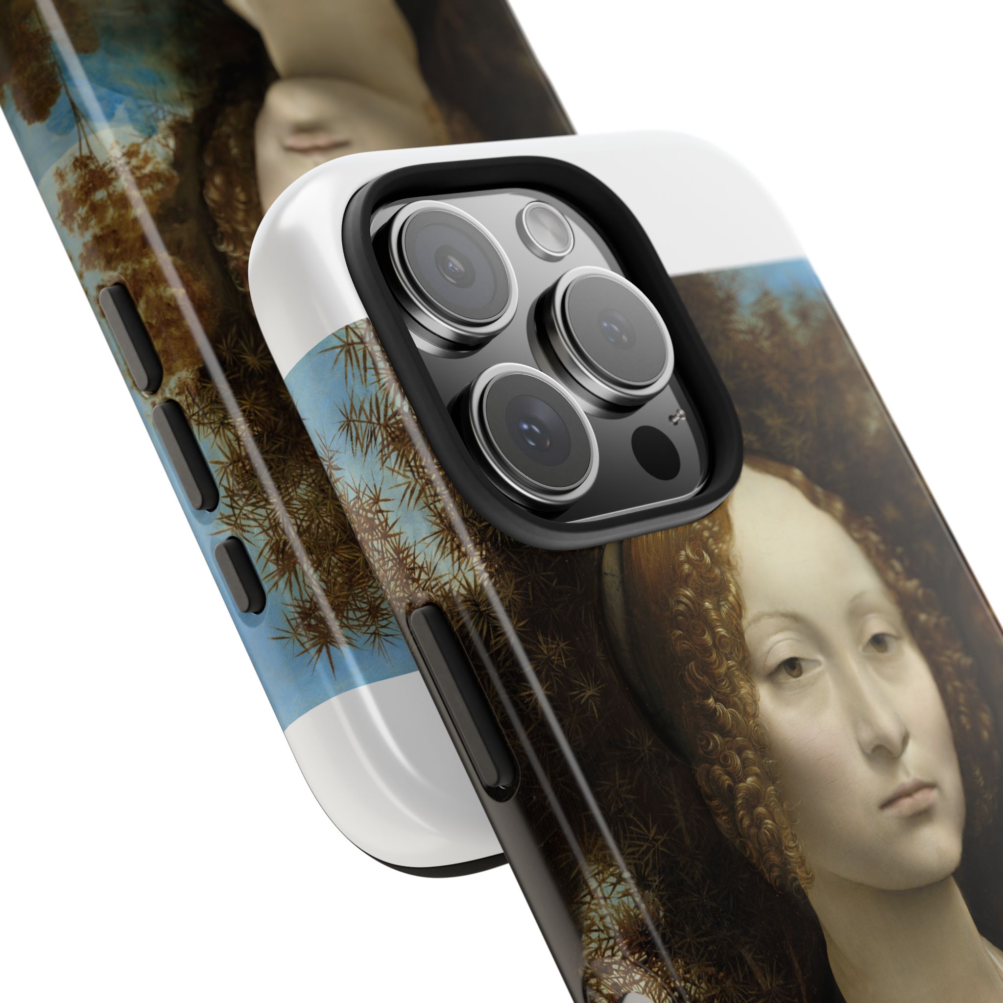 leonardo da vinci %281452%e2%80%931519%29 ginevra de%e2%80%99 benci 1478 leonardo da vinci %281452%e2%80%931519%29 ginevra de%e2%80%99 benci 1478
