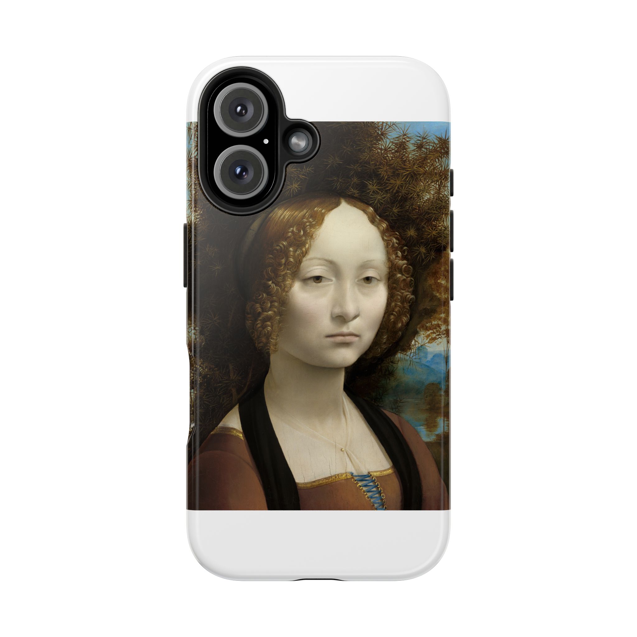 leonardo da vinci %281452%e2%80%931519%29 ginevra de%e2%80%99 benci 1478 leonardo da vinci %281452%e2%80%931519%29 ginevra de%e2%80%99 benci 1478