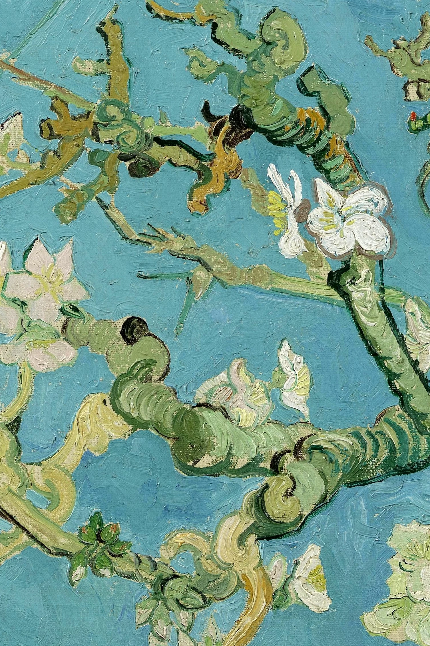 Almond Blossom — detail