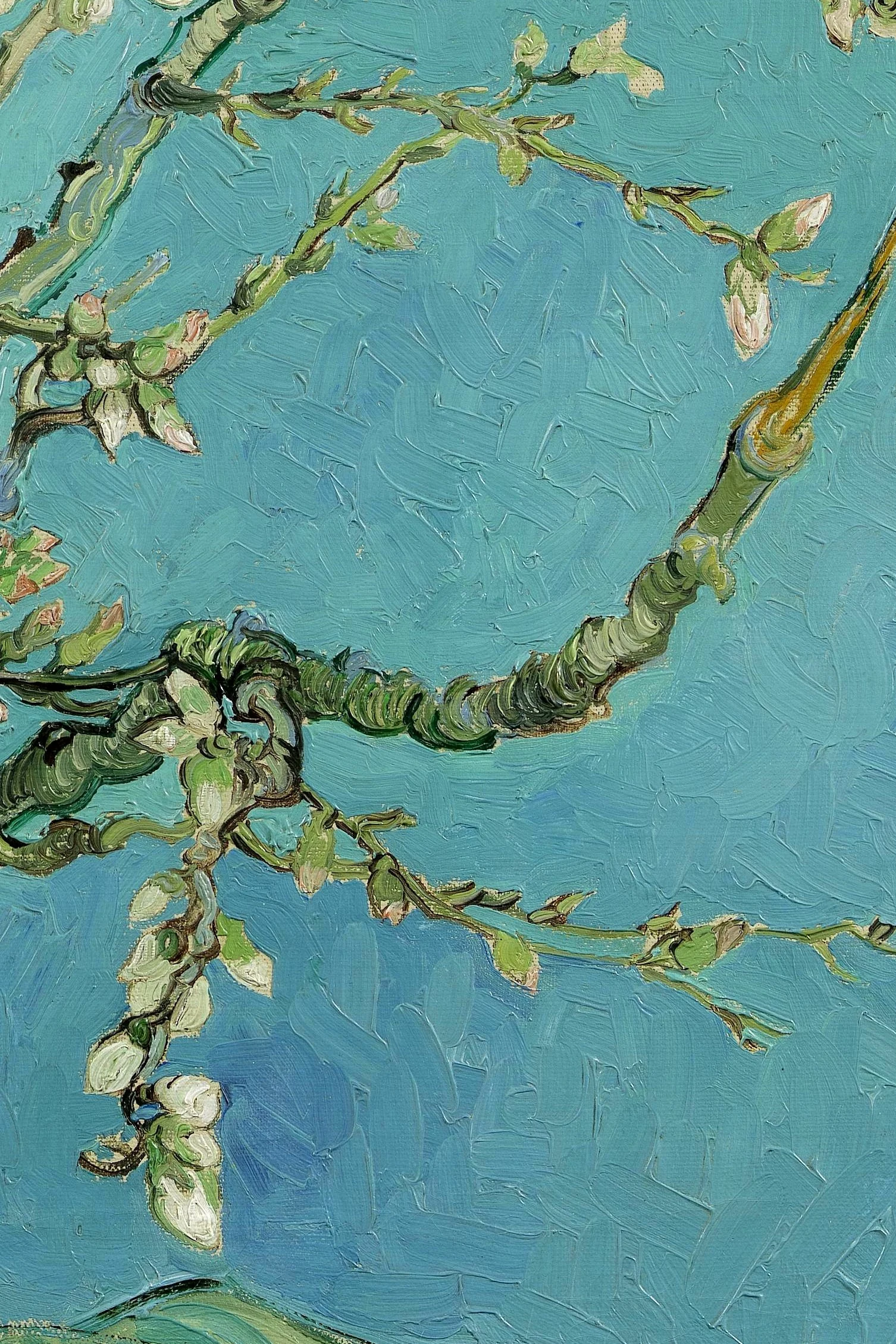 Almond Blossom — detail
