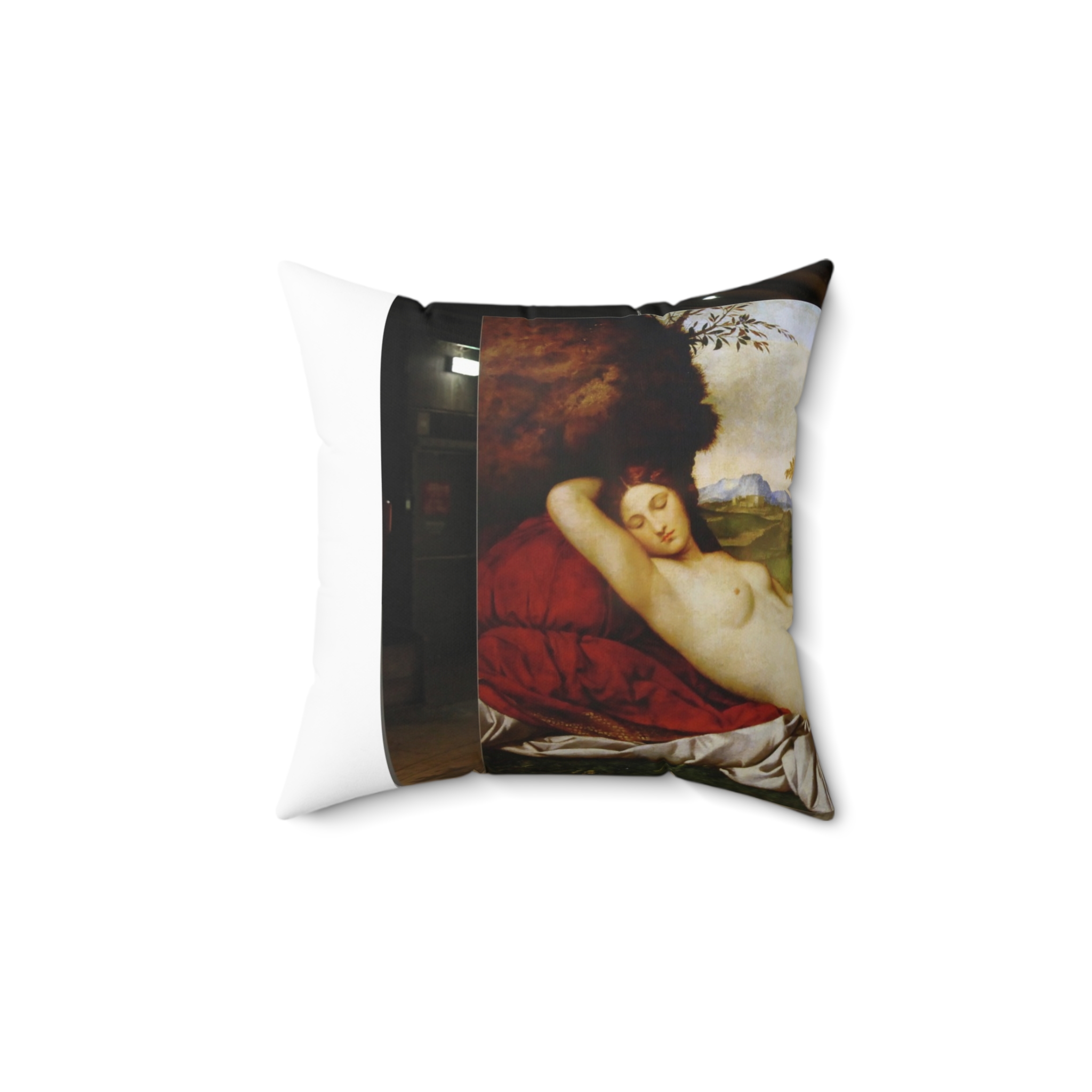 giorgione sleeping venus