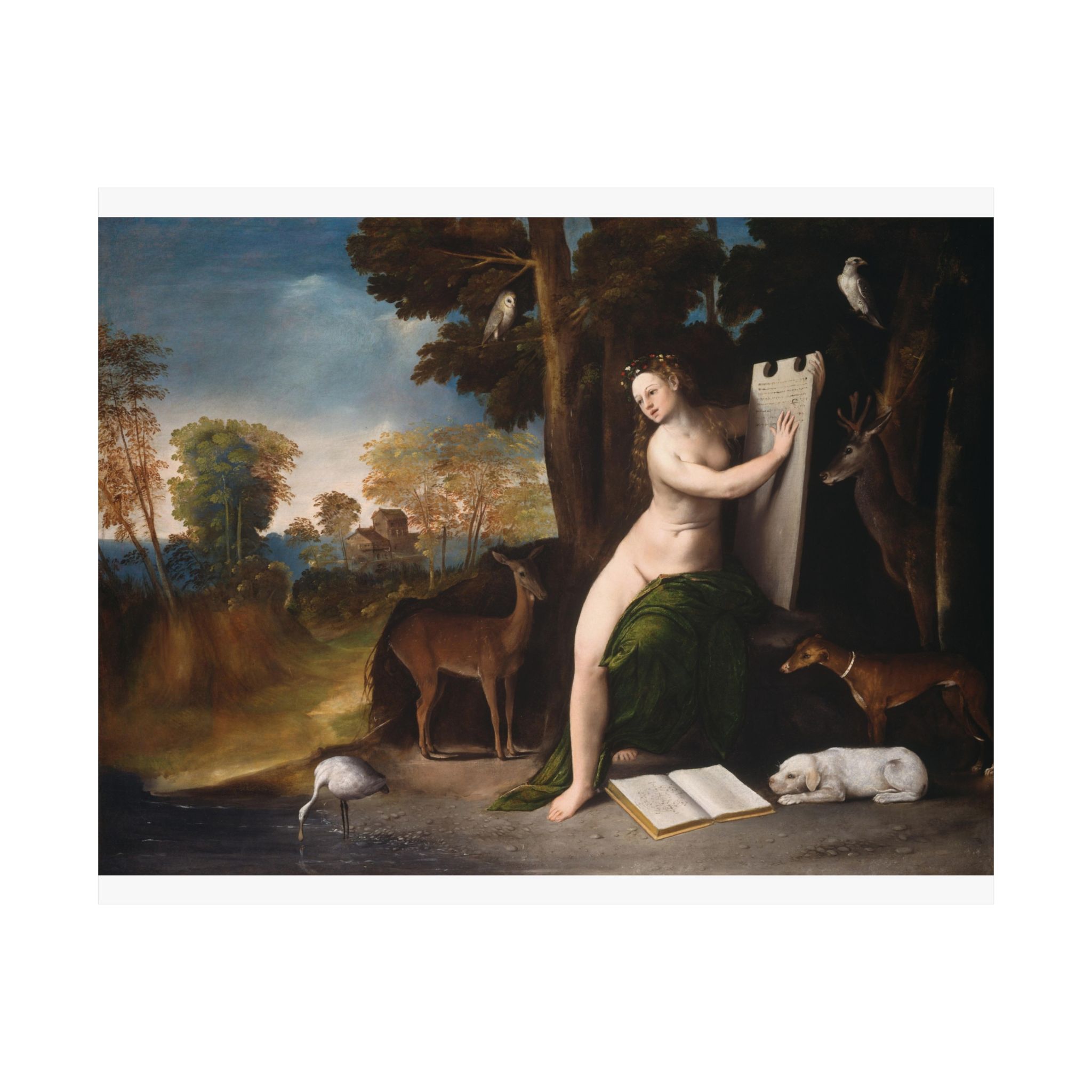 dosso dossi 003 dosso dossi 003