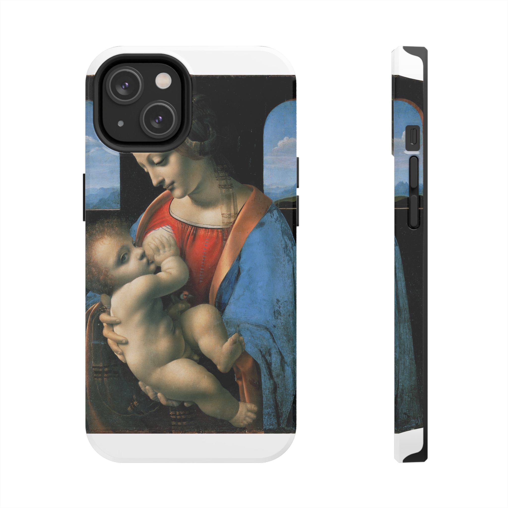 leonardo da vinci madonna litta