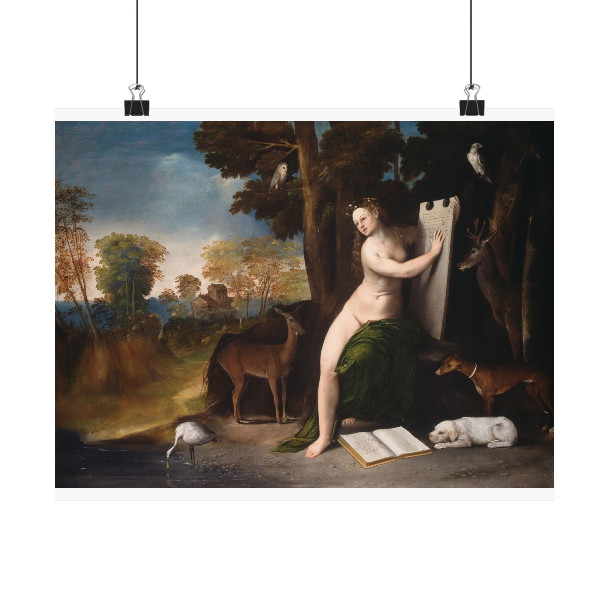 dosso dossi 003