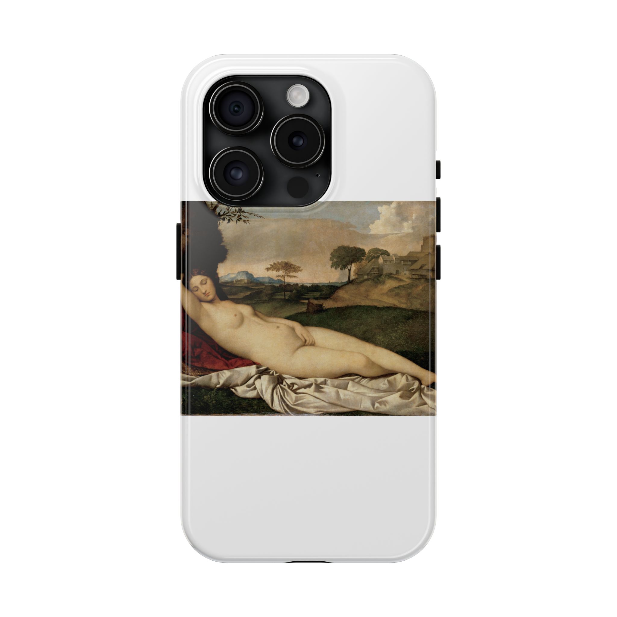giorgione sleeping venus giorgione sleeping venus