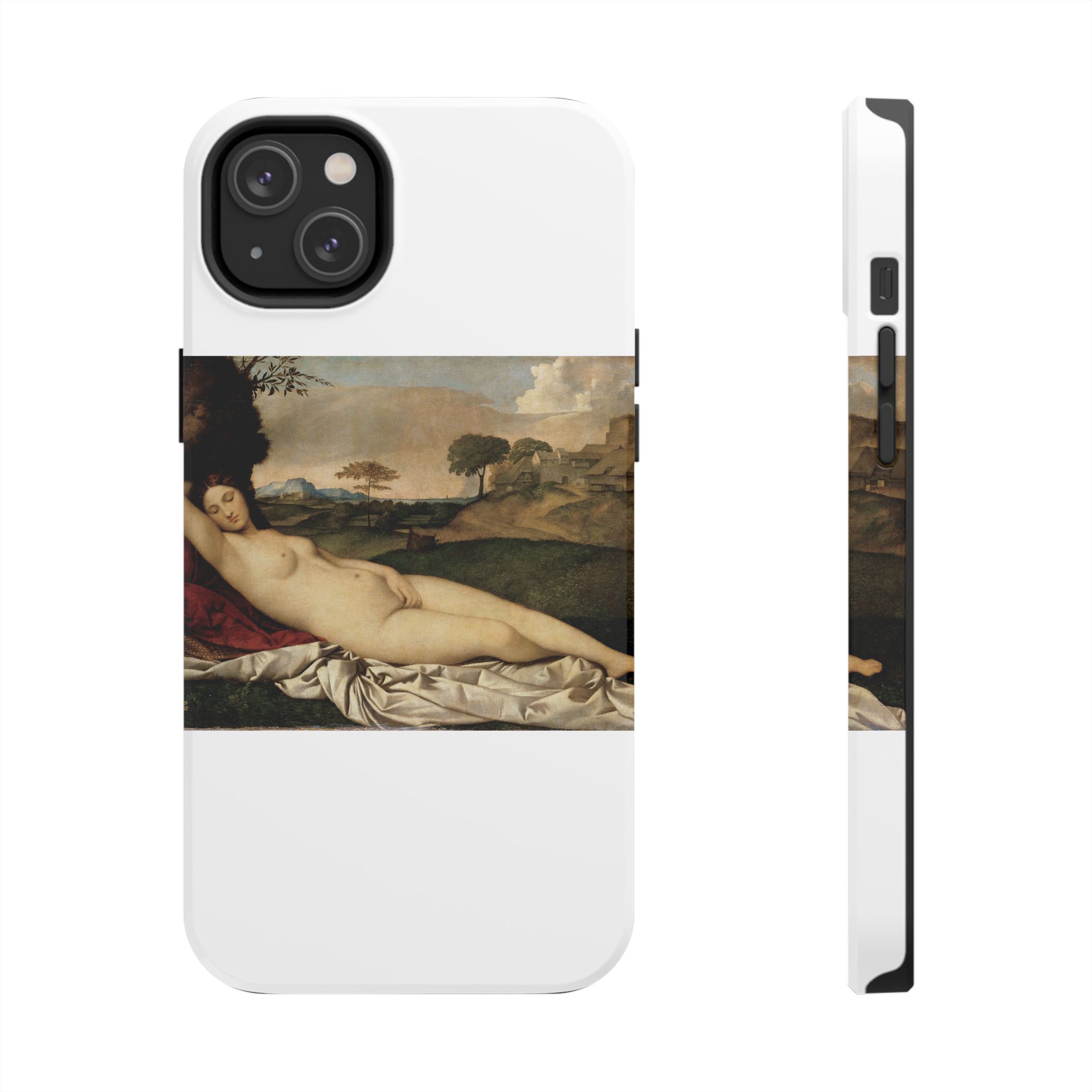 giorgione sleeping venus giorgione sleeping venus