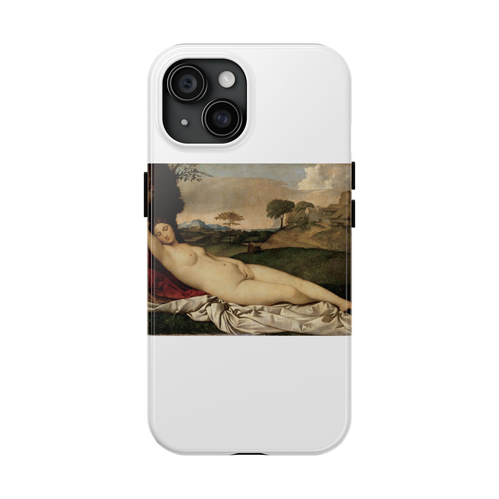 giorgione sleeping venus giorgione sleeping venus