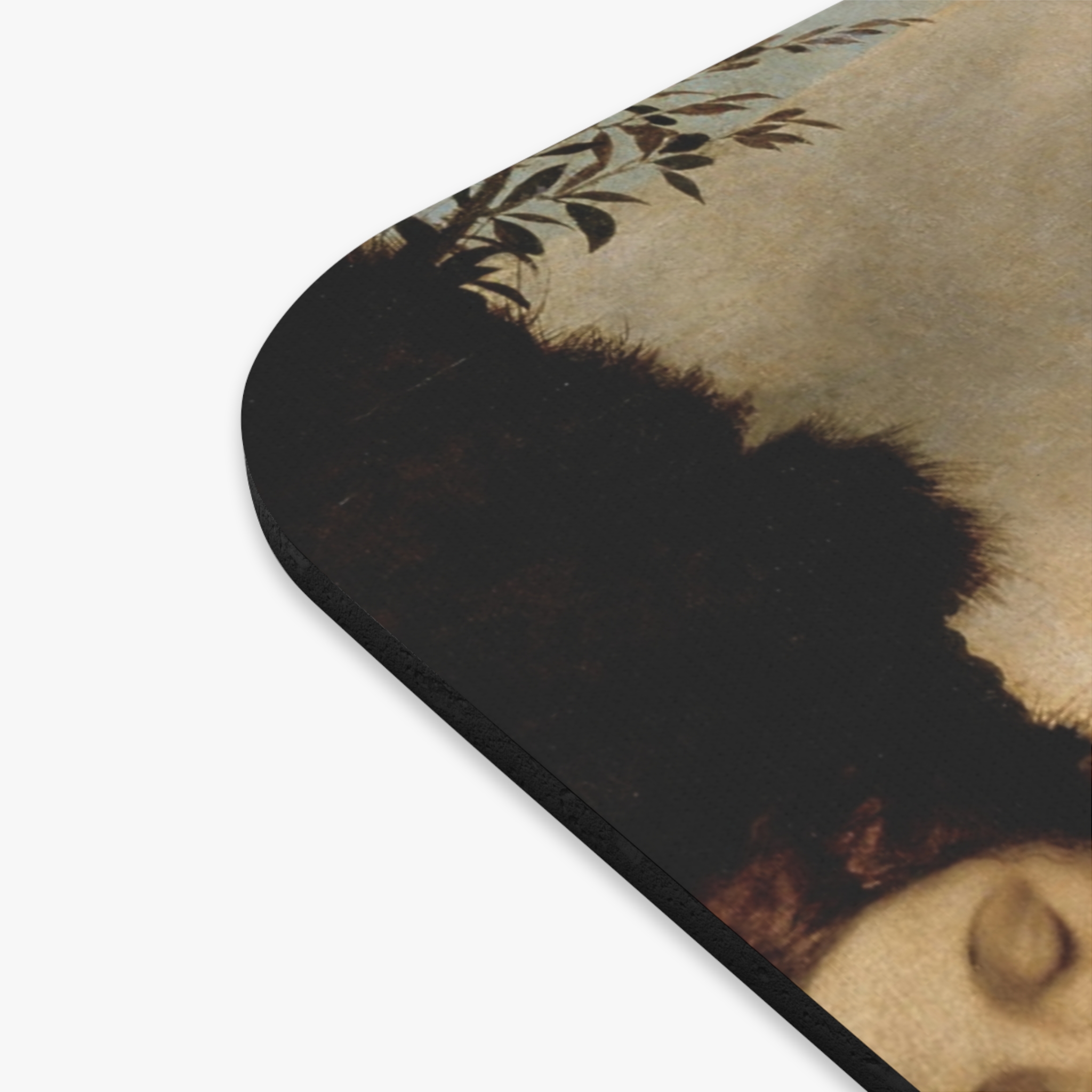 giorgione sleeping venus giorgione sleeping venus
