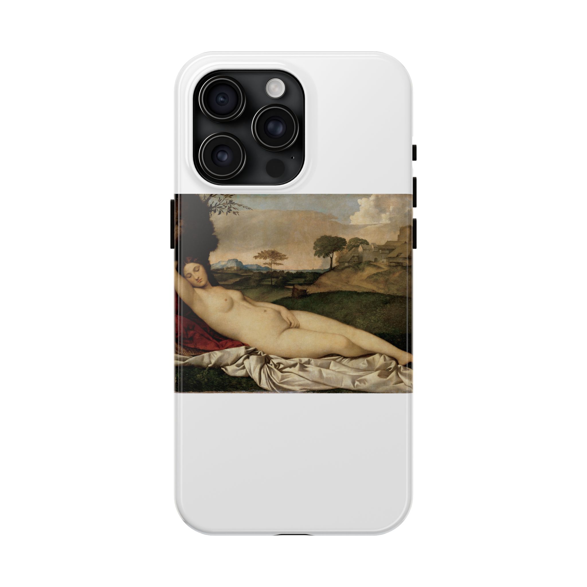 giorgione sleeping venus giorgione sleeping venus