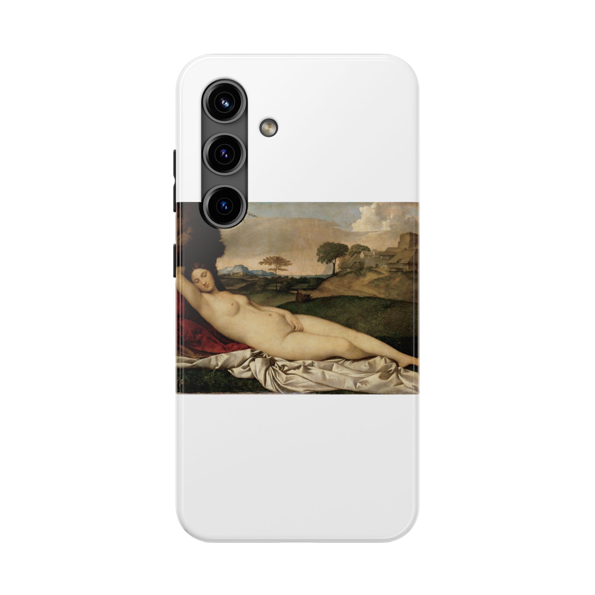 giorgione sleeping venus giorgione sleeping venus