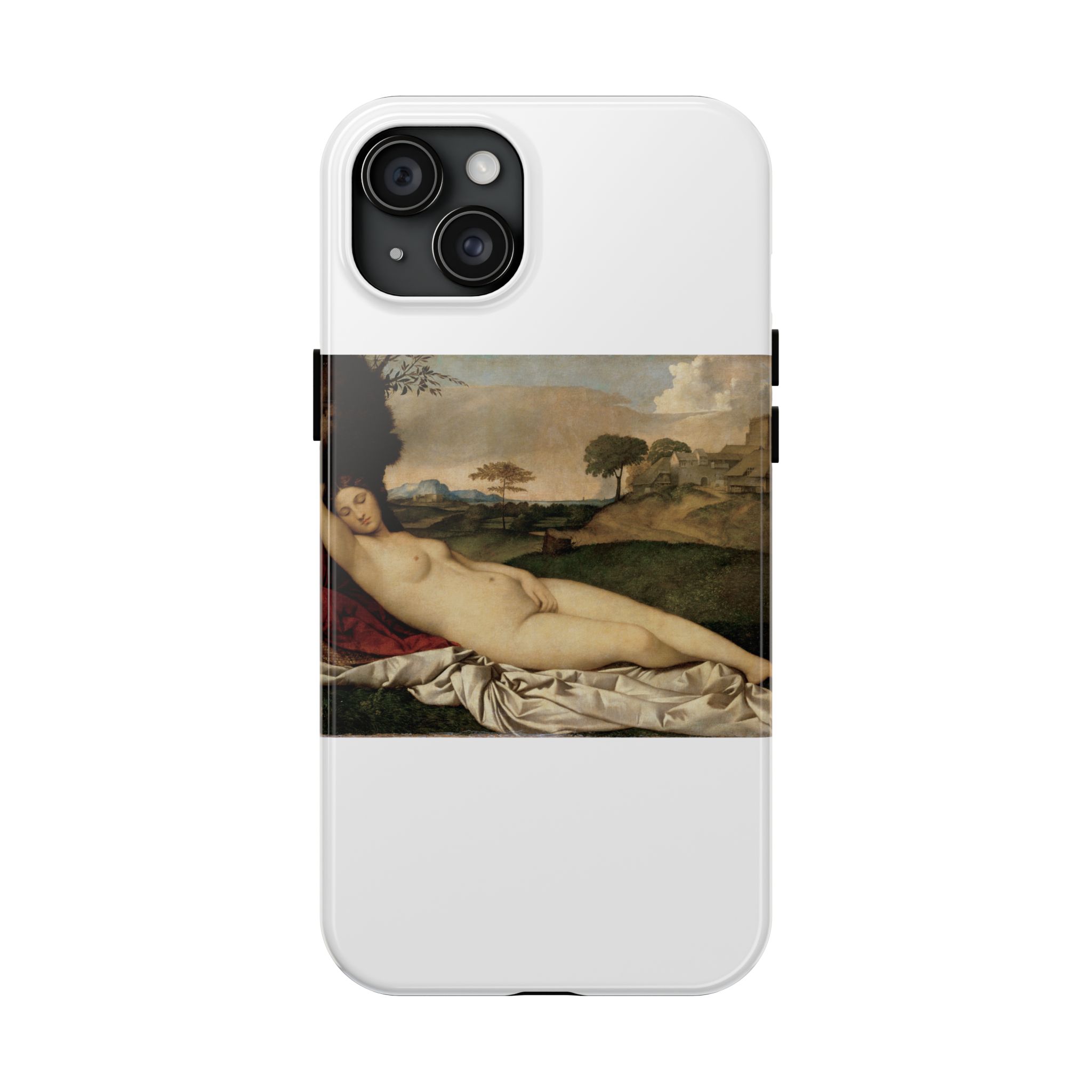 giorgione sleeping venus giorgione sleeping venus