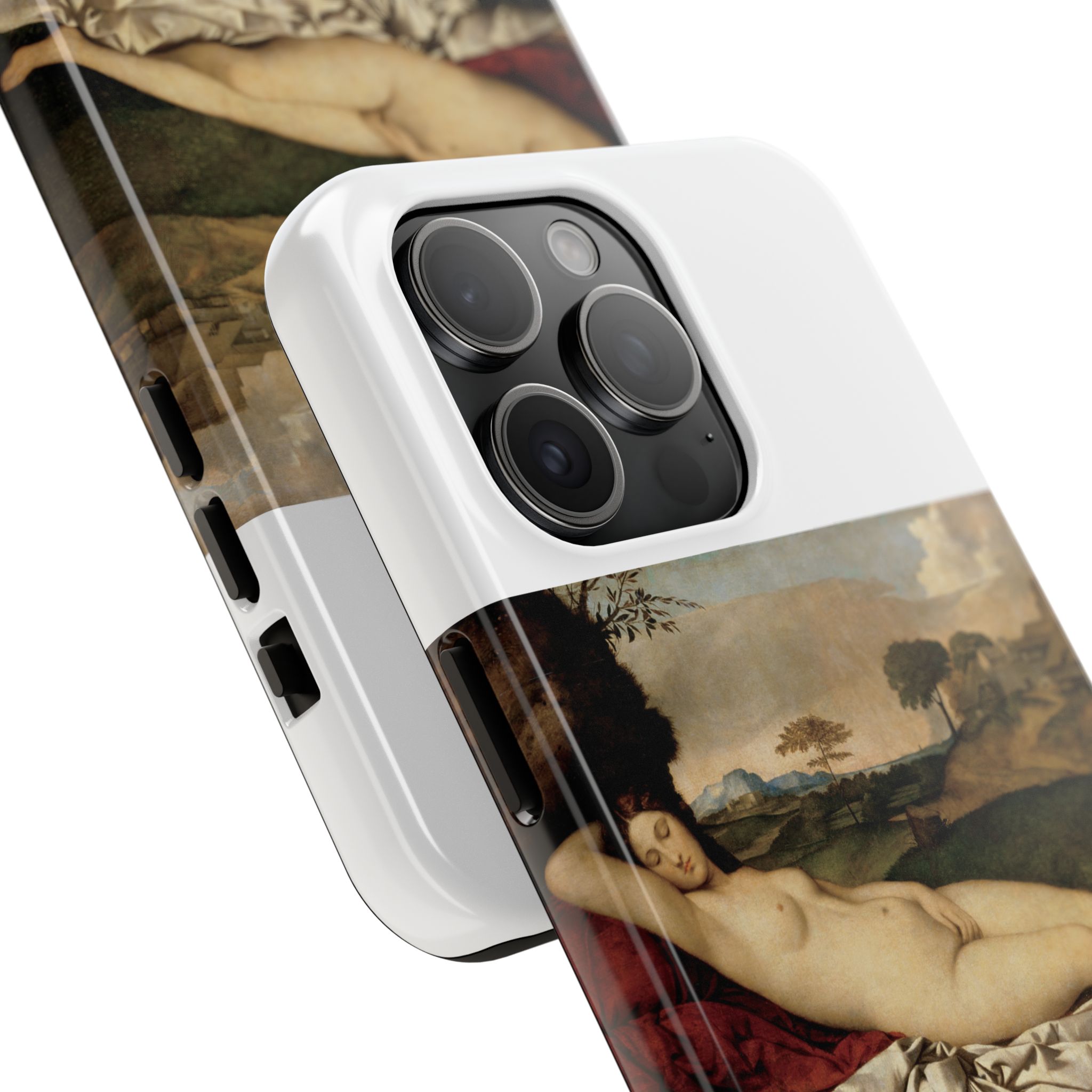 giorgione sleeping venus giorgione sleeping venus