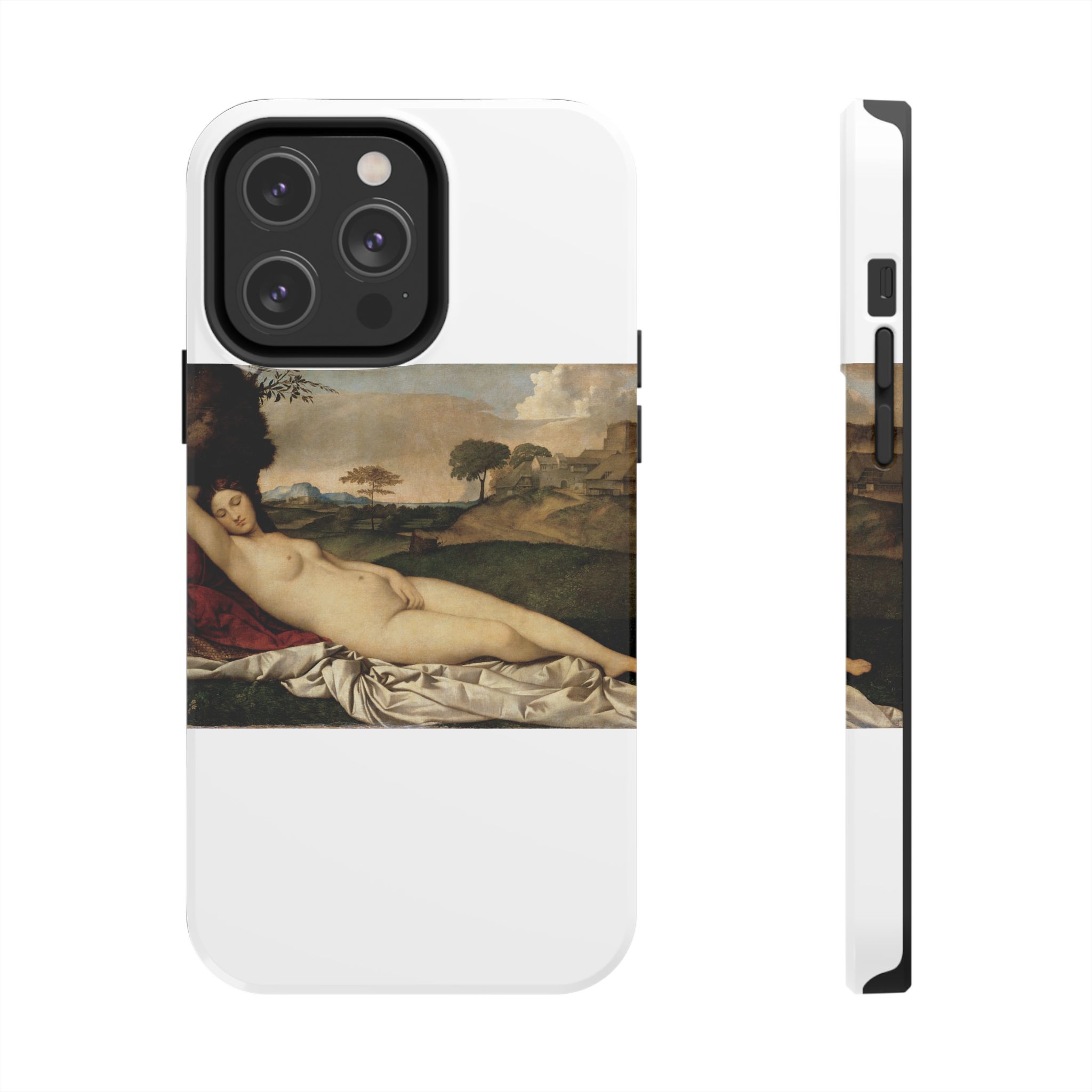 giorgione sleeping venus giorgione sleeping venus