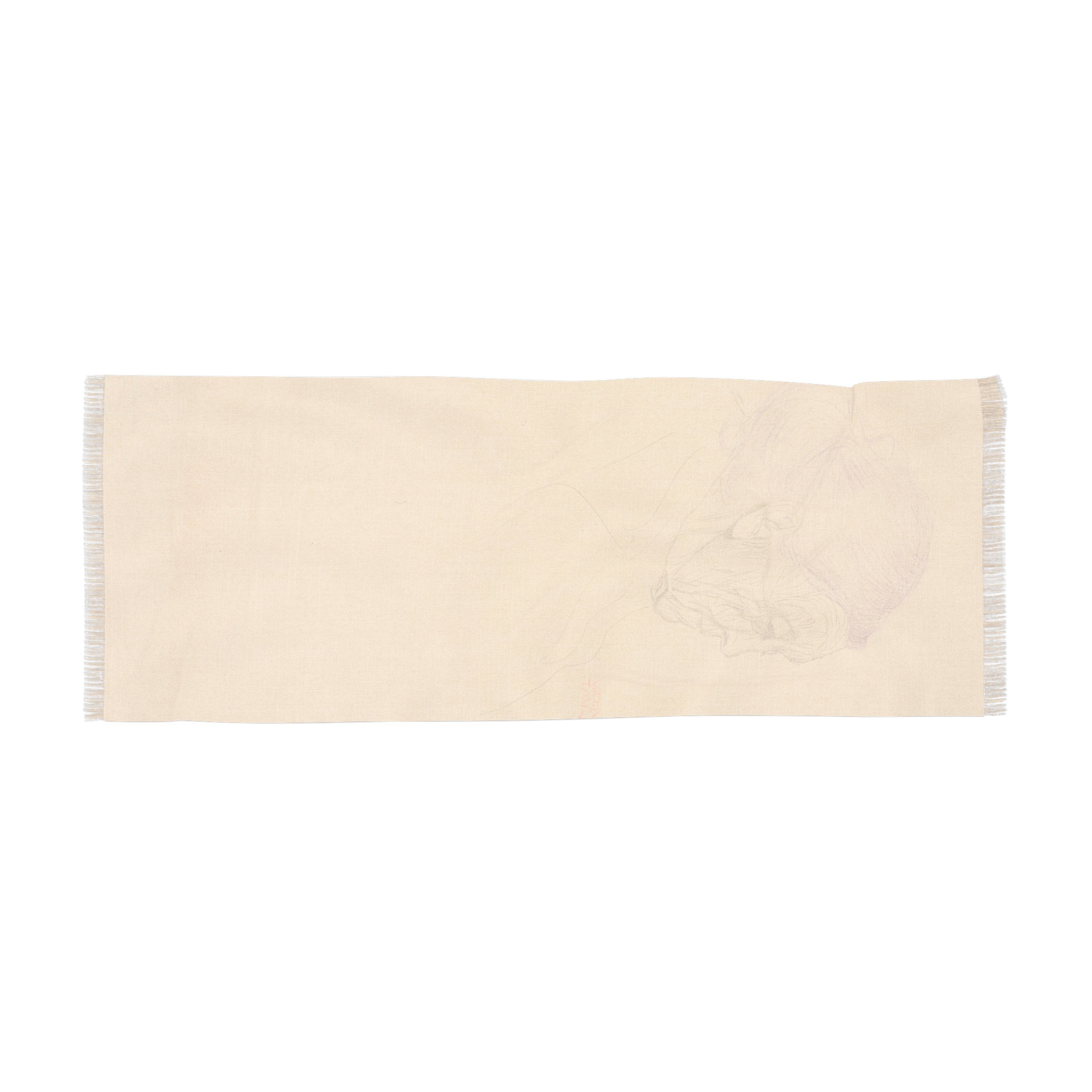 gustav klimt kopf einer alten frau (studie für die drei lebensalter) gustav klimt kopf einer alten frau (studie für die drei lebensalter)