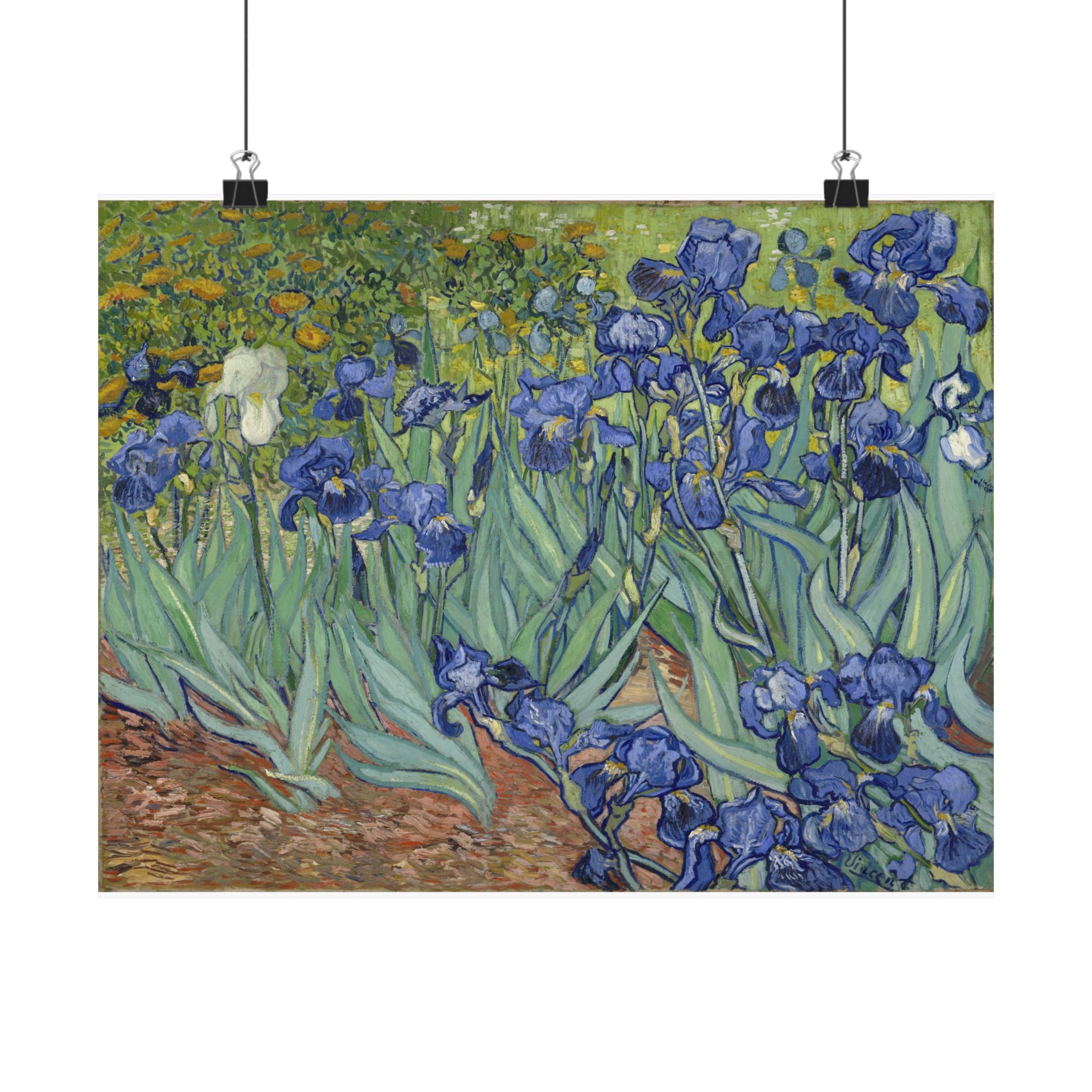 Vincent van Gogh - Irises