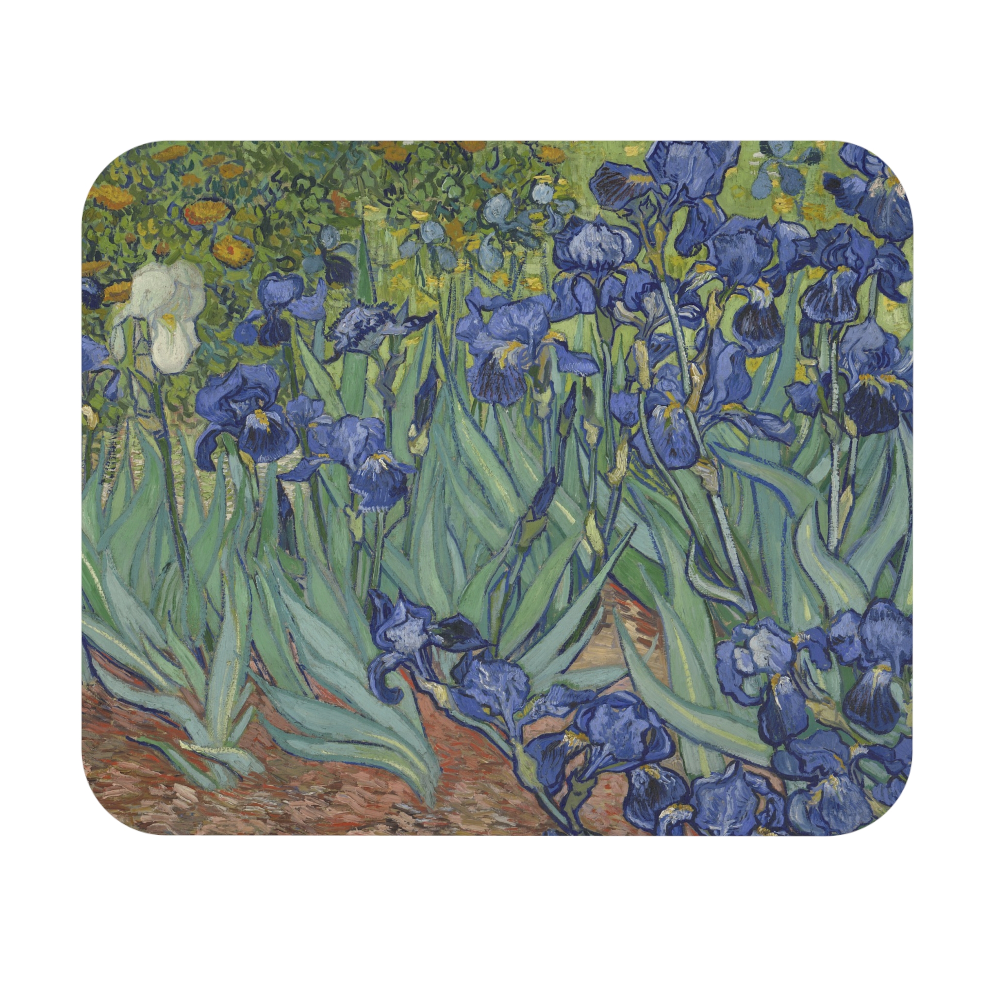 Vincent van Gogh - Irises